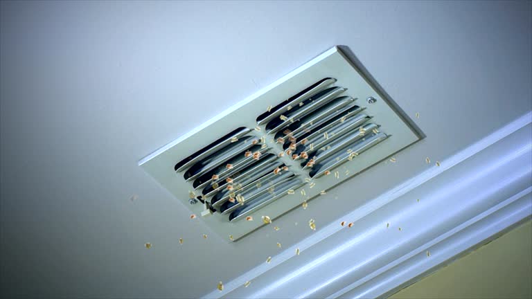 Trusted West Frankfort, IL Airduct Cleaning Experts